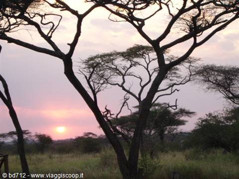 Sunset at the Bush Camp