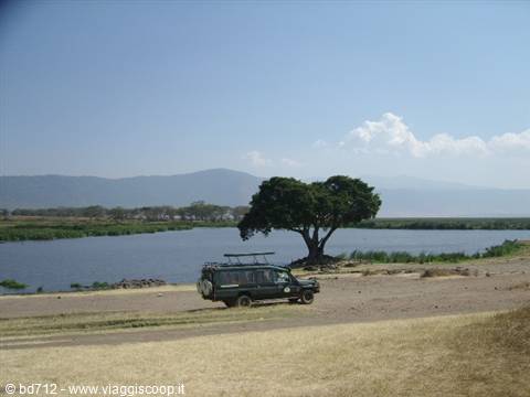 Safari jeep parked on the sandy shore of a lake, acacia tree and hills behind
