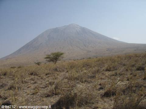 Ol Doinyo Lengai volcano towering over dry savanna with scattered acacia trees