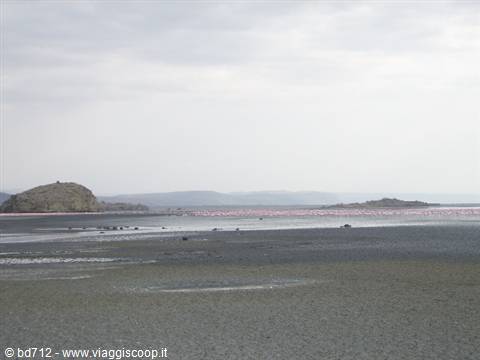 Lake Natron
