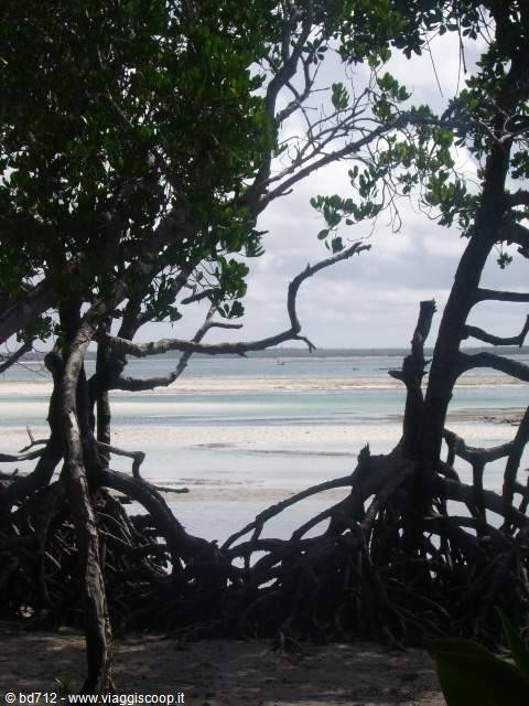 Low Tide
