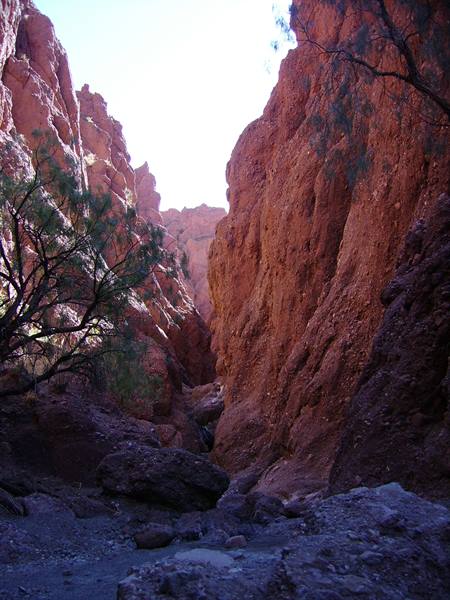 Canyon of the Inca