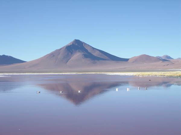Laguna Colorada