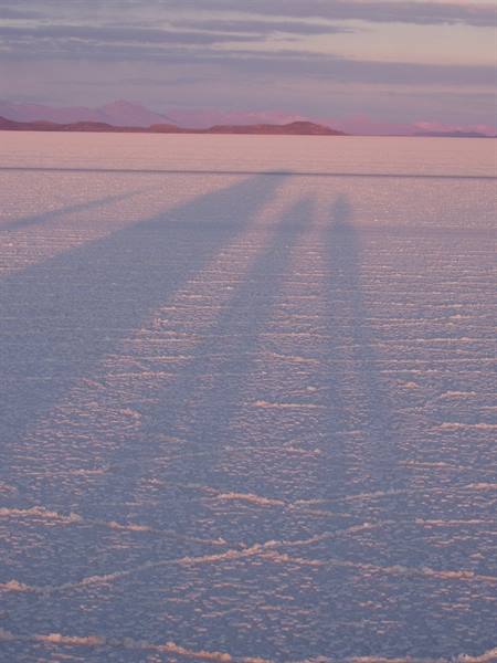 Long shadows in the morning