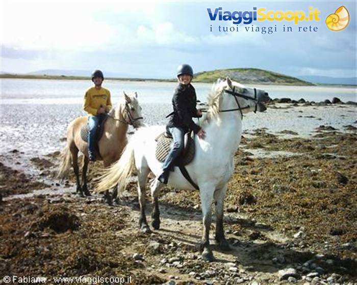 on horseback in the fjord of Galway Bay