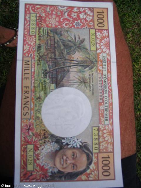 Thousand French franc banknote with flowers, lying on the grass