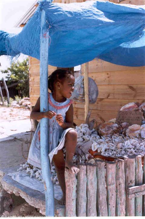 Little girl under blue fabric awning among seashells and wooden fence