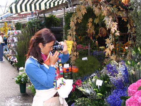 flower market