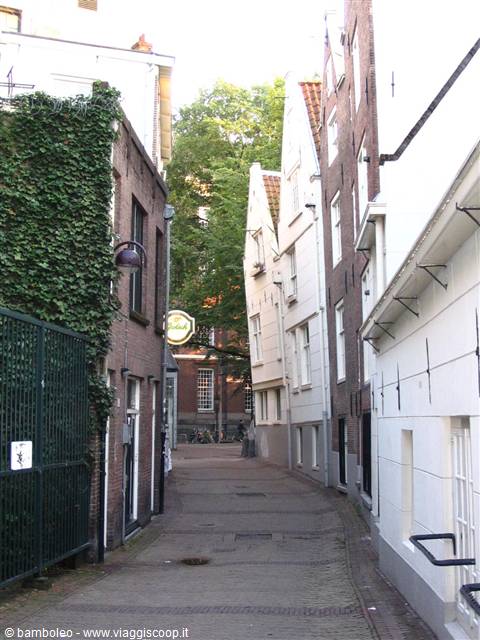 Cobbled alley between brick houses and white facades, Amsterdam