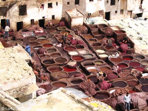 the tanneries of Fez
