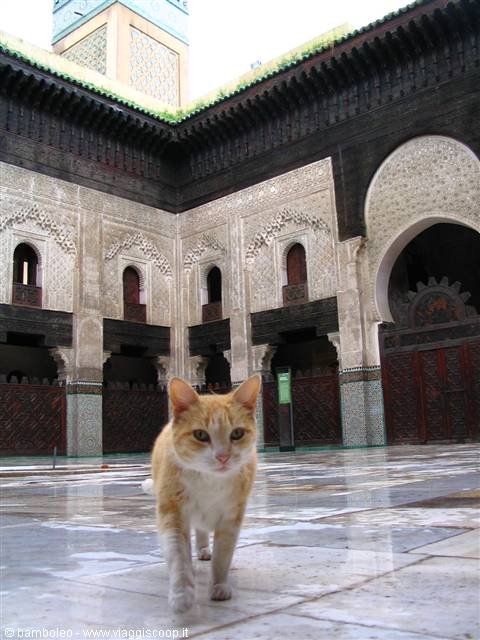 medersa of Fez