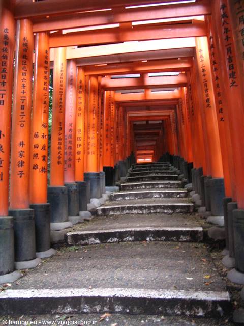 Stairs climbing between orange torii gates at Fushimi Inari shrine