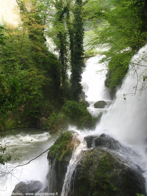 Marmore Falls, white water cascading over mossy rocks among lush green trees