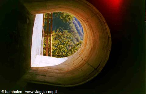 Ancient brick arch framing wood and sunlit green forest