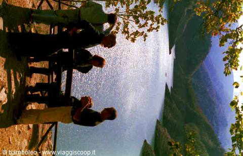 Group of hikers waiting by the lake surrounded by trees