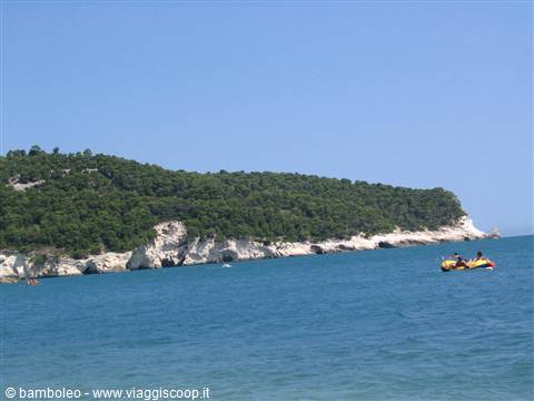White limestone cliffs and green pine forest over the blue Gargano sea