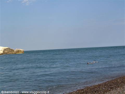 Swimmer in blue water beside white cliffs and pebble beach