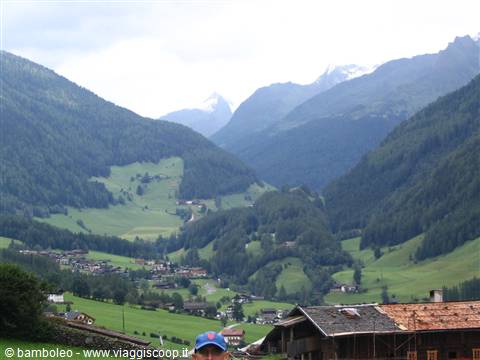 Wooden-roofed village nestled in green alpine mountains