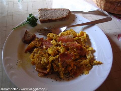White plate with scrambled eggs and bacon, bread and fork in natural light