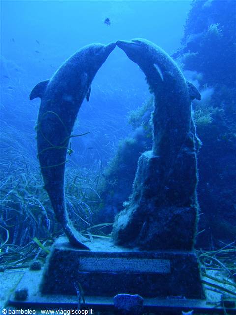 Underwater statue of two dolphins touching snouts, covered in algae