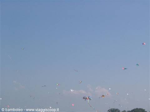 Many colorful kites flying in a blue sky above the trees