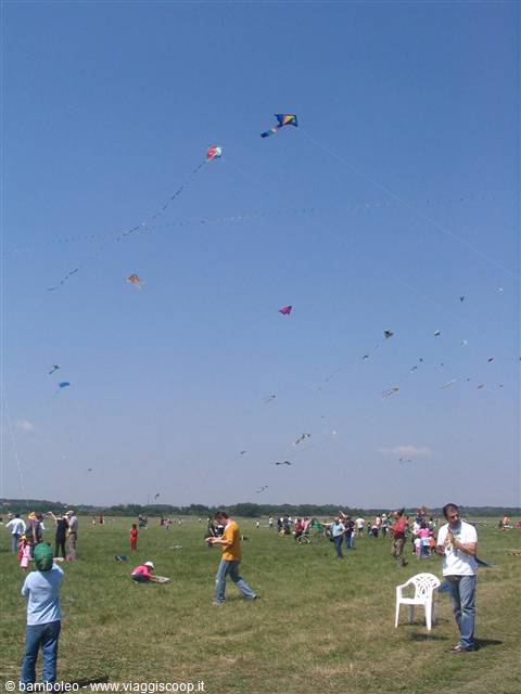 Many people on a green field fly colorful kites under the blue sky