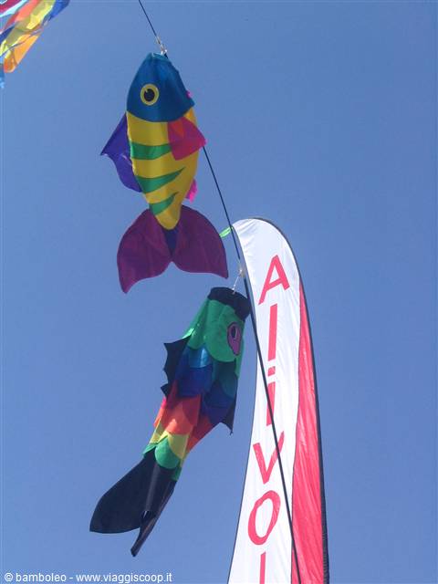 Colorful fabric fish kites flying against blue sky beside a feather banner