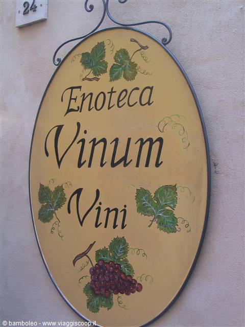 Oval painted sign of Vinum Vini wine shop, with grape cluster, hanging on wall