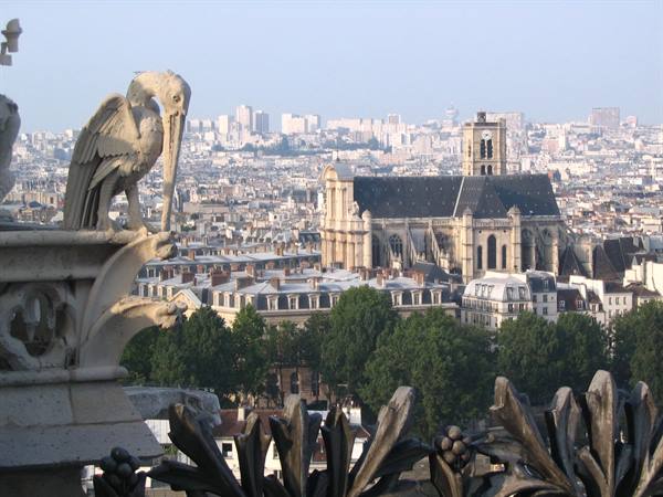 Stone gargoyle from Notre-Dame cathedral overlooks Paris rooftops and Saint-Gervais church