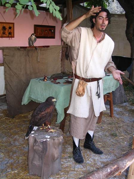 Falconer in medieval costume with hawk perched on a stump
