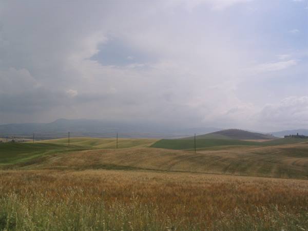 Wheat fields on rolling hills with power lines under cloudy sky