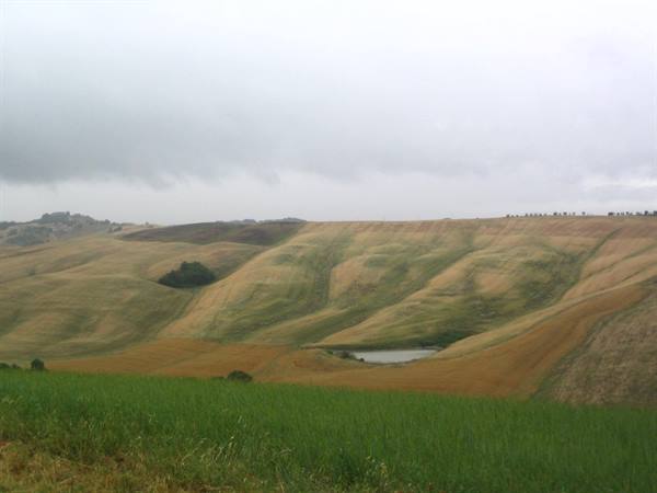 Cultivated rolling hills under cloudy sky, small pond below, green meadow foreground