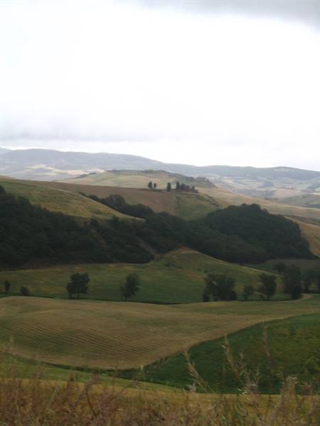 Cultivated hills with rows and distant cypresses under cloudy sky