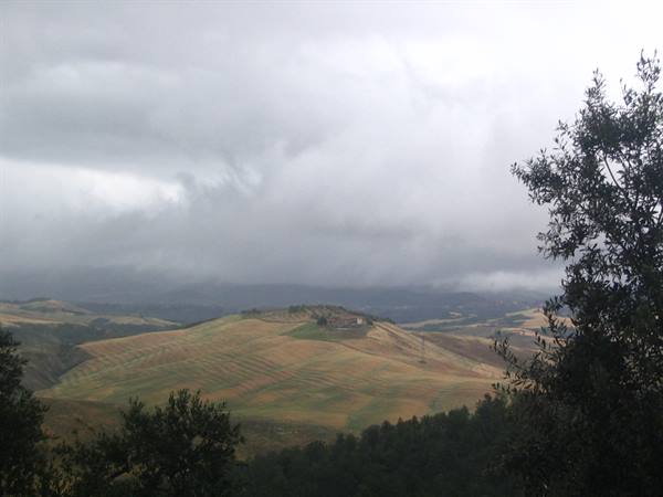 Cultivated hills under grey clouds, tree branches in the foreground