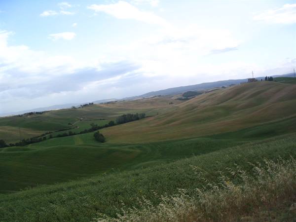 Cultivated rolling hills under white clouds, wild grass in the foreground, Tuscany