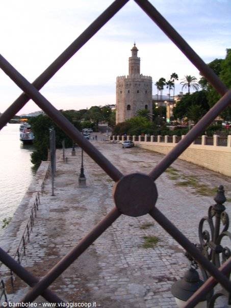 Torre del Oro in Seville seen through an iron fence along the Guadalquivir