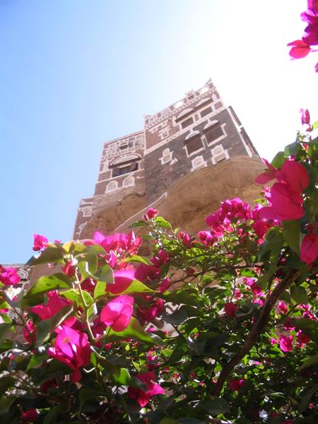 Yemeni mud-brick tower house atop rock, pink bougainvillea in the foreground
