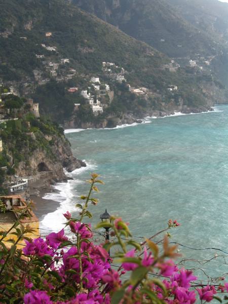 Fuchsia bougainvillea in front of Positano coast, white houses on cliffs