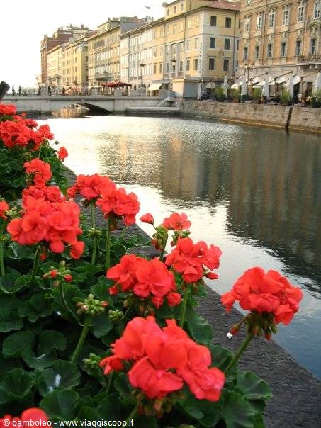 Canal Grande in Trieste with red geraniums and historic buildings