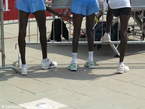 Three athletes' legs in blue shorts next to metal barriers