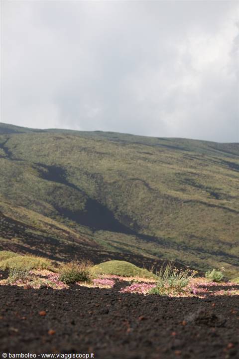 Etna