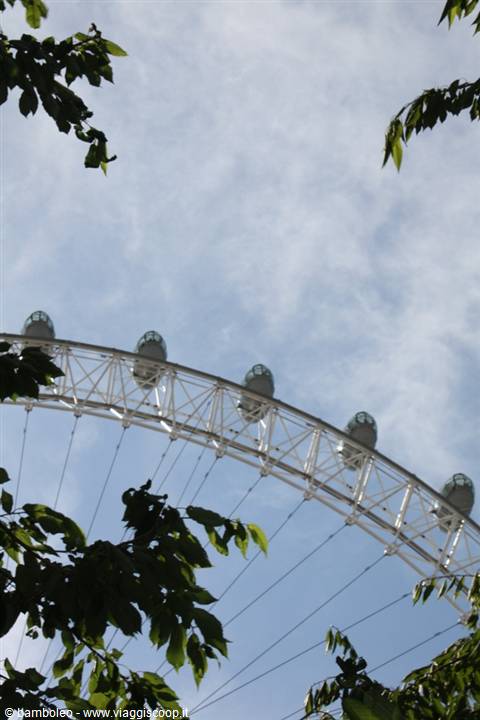 Glass capsules of the London Eye framed by green leaves and cloudy sky