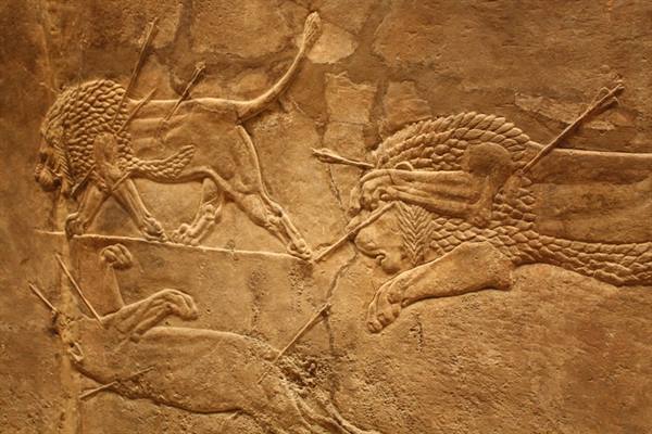 Assyrian stone relief of wounded lions hit by arrows, warm museum light