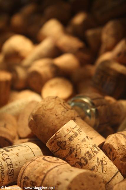 Pile of used wine corks, warm light, one blurred in the background