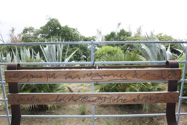 Wooden bench with handwritten signature in front of agave plants