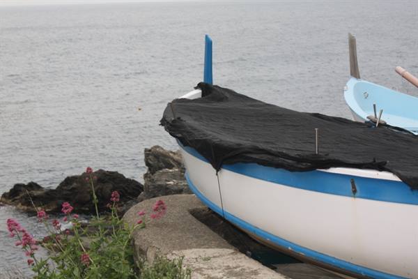 White and blue boat covered in black tarp, moored on stone wall near flowers