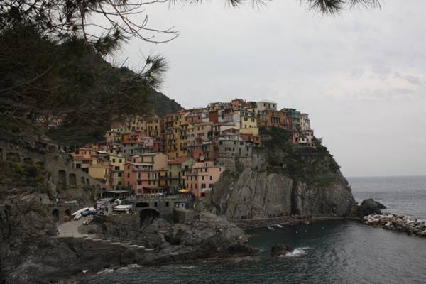 Manarola's colorful houses climb the cliff above the sea