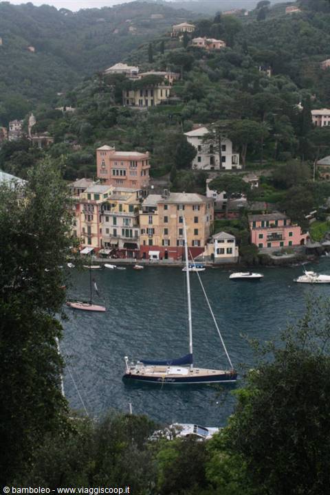 Sailboats in Portofino harbor among colorful houses and green hills