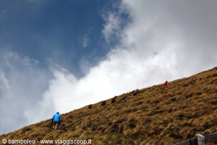 Hikers climbing a golden grassy slope under white clouds