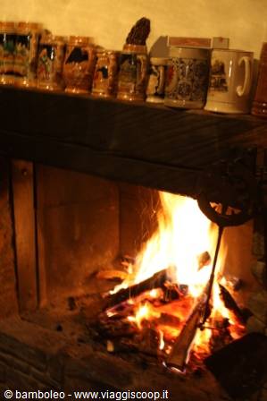 Burning fireplace with blazing logs, shelves lined with decorated beer steins